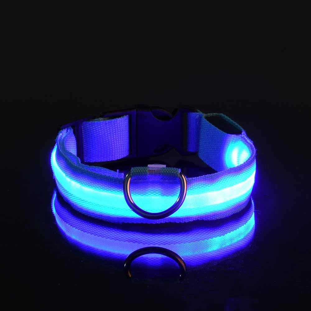 Laisse Lumineuse pour Chien