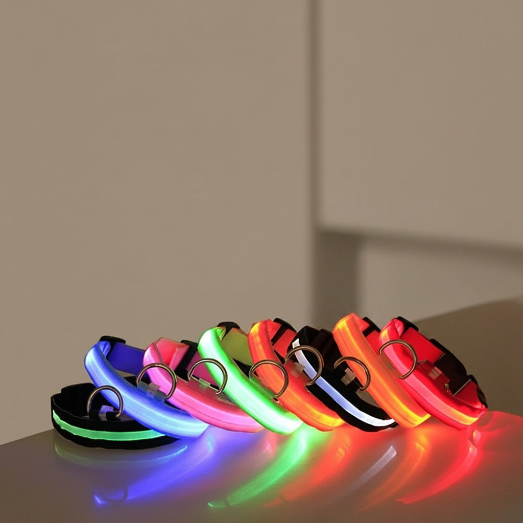 Laisse Lumineuse pour Chien