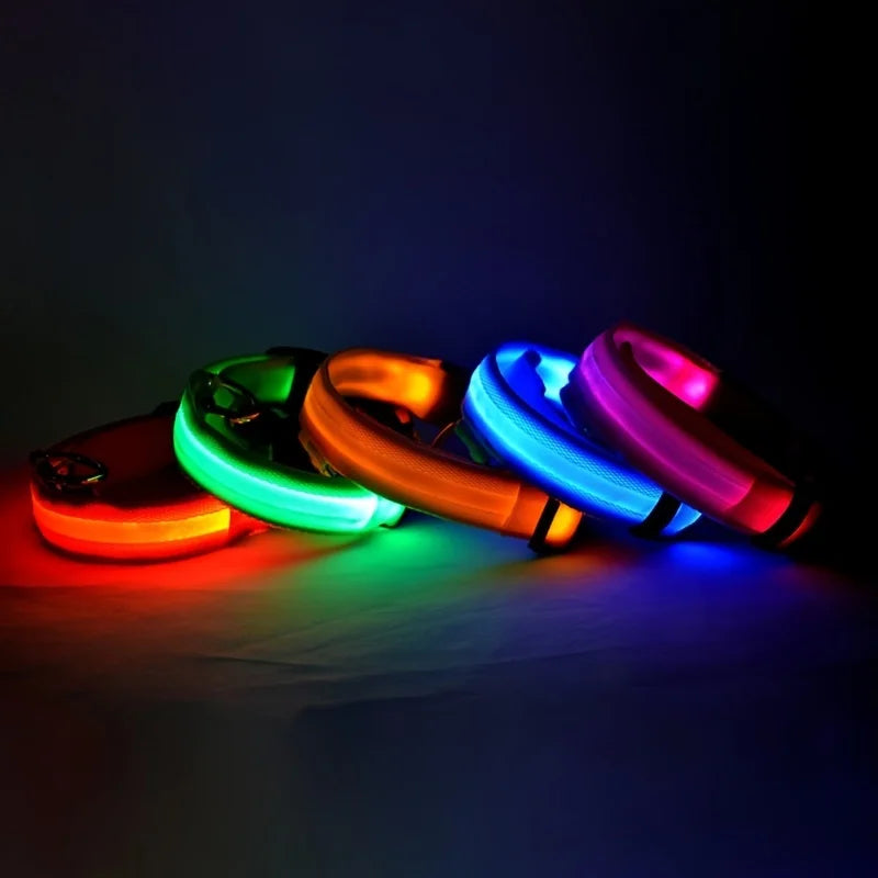 Laisse Lumineuse pour Chien