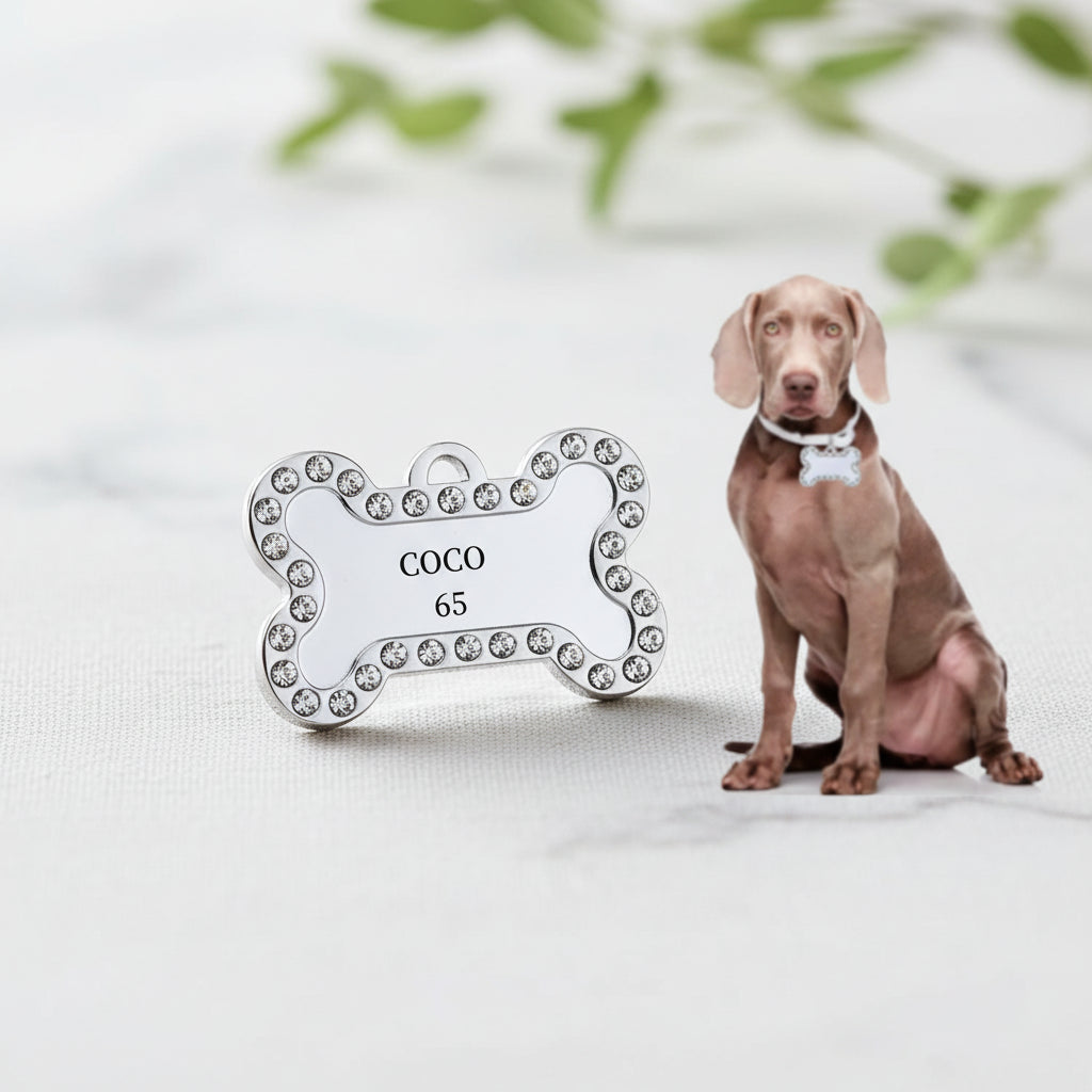 Médaille Gravée VIP pour Chien & Chat - Plaque d'Identification Ronde Personnalisée