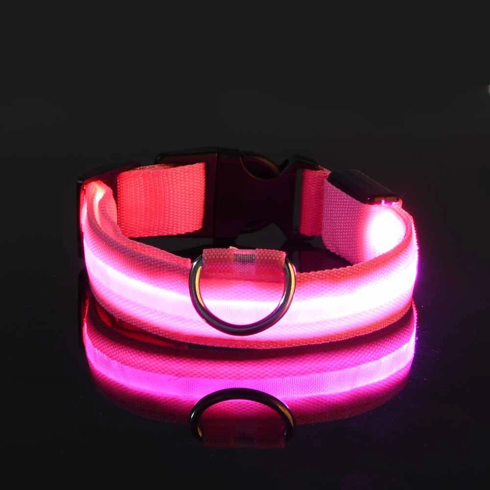 Laisse Lumineuse pour Chien