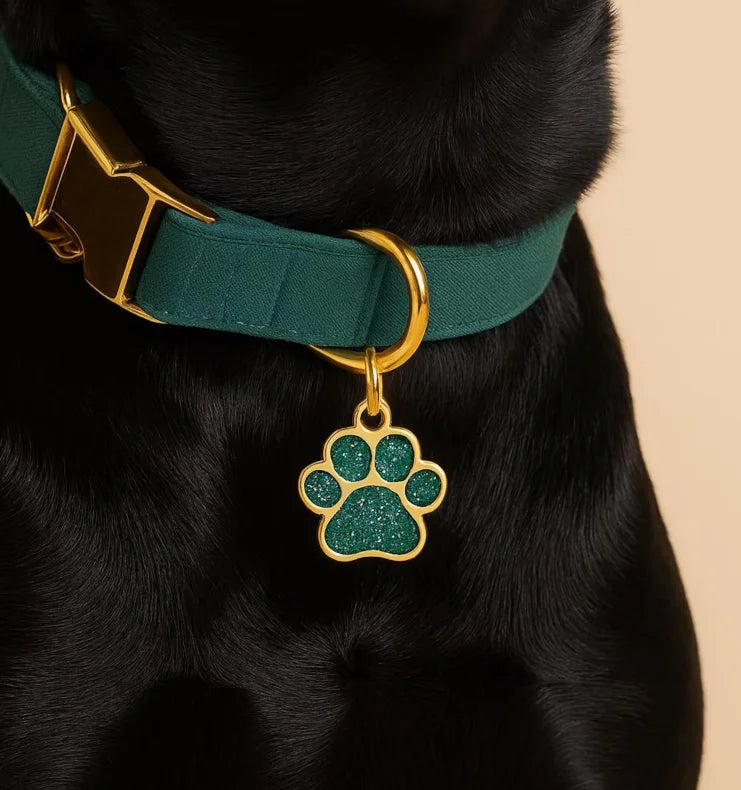 Médaille Gravée Personnalisée pour Chien & Chat - Plaque d'Identification avec Nom et Numéro
